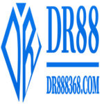 dr888368com