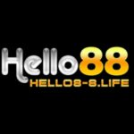 nchello88life