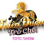 tdtcshow