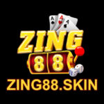 Zing88 Skin